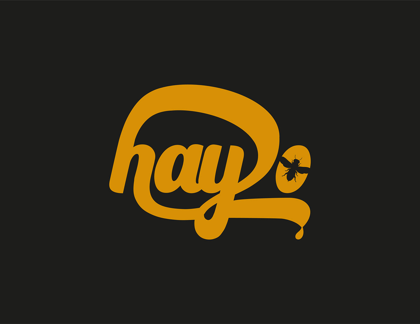 Hayo Logo Design